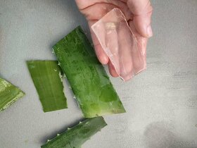 Aloe Vera mydlo - 3