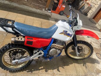 Honda dominator 650 - 3