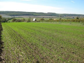 Rekreačný pozemok na chatu o výmere 3200m2.-lacno - 3