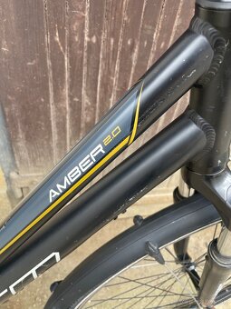 CTM Amber 2.0 - 3
