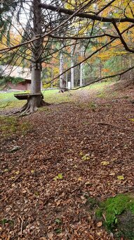 STAVEBNÝ POZEMOK - KÚSOK OD LYŽIARSKEHO STREDISKA - 3