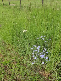Myjavské kopanice pozemok na predaj. - 3