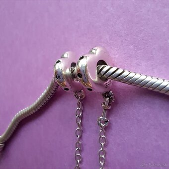 Bezpečnostná retiazka Labka - 3