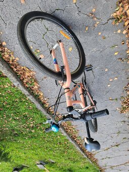 Dámsky bicykel Dema - 3