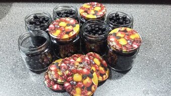 Predám ARÓNIA 100% BIO - 3