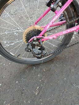 Dievčenský bicykel 20 - 3