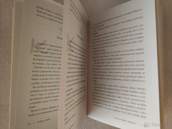 Srdcia v sedle - Katarína Jana Brezovanová - 3