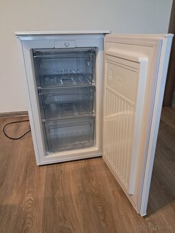 Mraznička gorenje 65l - 3