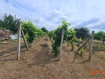 Na predaj pekný ,slnečný pozemok Moča  - 3