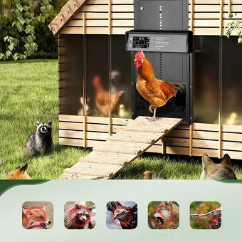 Nové automatické dvierka na kurín, pre sliepky - 3