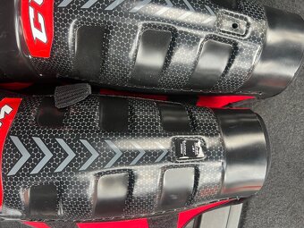 Holene ccm - 3