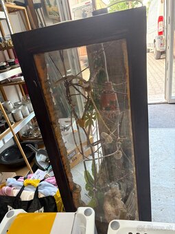 Terarium - 3