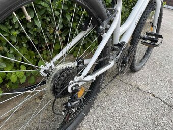 CTM Mony 24" - 3