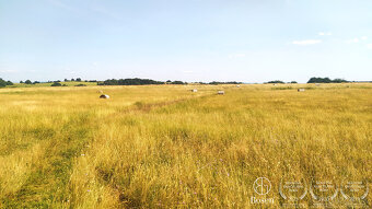 BOSEN | ZNÍŽENÁ CENA - Pozemok vhodný na agroturistiku a inv - 3