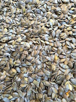 Tekvicové jadierka bezšupkové - 3