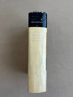 Příběh malého Waltra Pieterse - Multatuli - 3