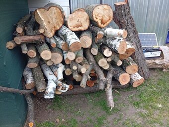 Palivove drevo prebytok... - 3