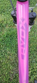 kenzel Avox - 3