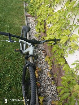 Dirtking CTM 2024 - 3