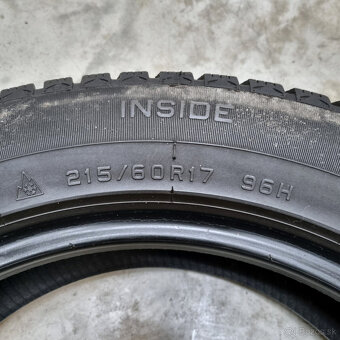 Zimné pneumatiky 215/60 R17 INTERSTATE - 3