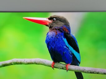 Predám 4k uhd smart TV Samsung UE55MU6472U. - 3