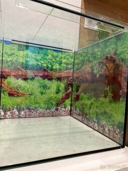 64 LITROVÉ AKVARIUM - 3