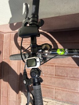Frog 24 - 3