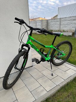 Kenzel Roxis SF24 - 3