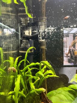 Akvárium Denerle NanoCube Complete 60L - 3