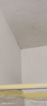 Hodinový manžel, Domáci majster, Šikovný sused - 3