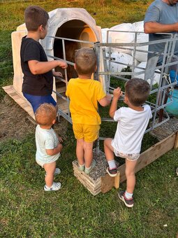 Búdky pre teľatá - 3