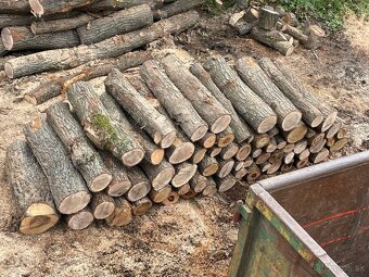 Palivove drevo - 3