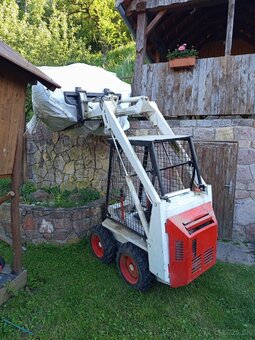 Bobcat - 3