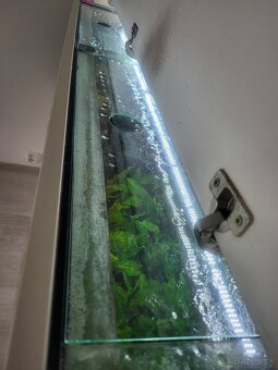 Akvárium 200×55×40 - 3