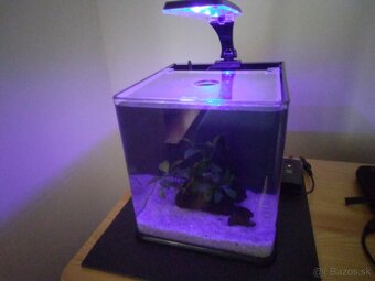 Nano akvárium - 3