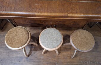 Stolicka zidlicka - 3