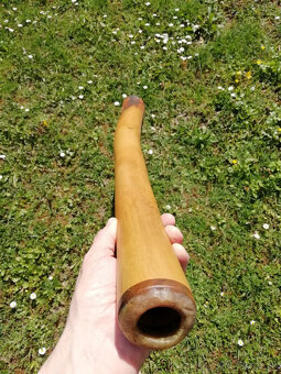 Didgeridoo - 3