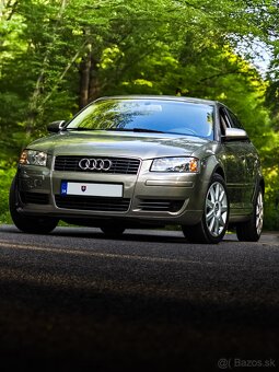 Audi A3 8P 1.9TDI 77KW BXE bez DPF - 3