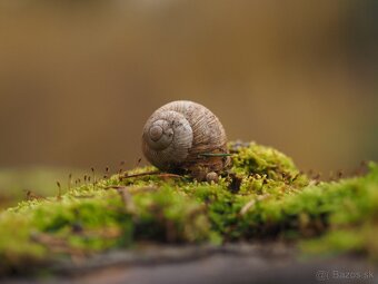 Objektív M.zuiko 45mm f1.8 - 3