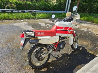 Yamaha XT600 Tenere - 3