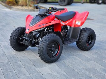 CFMOTO X110 EFI - 3