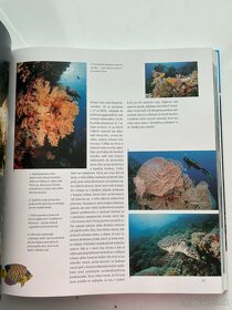 Podmorské divy sveta - 3
