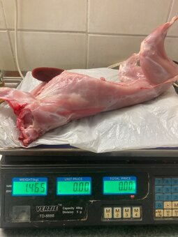 Predám králiky na mäso - 3