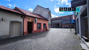 RODINNÝ DOM PRIAMO V CENTRE MESTA, PODLAHOVÁ PLOCHA 248m2, Ž - 3