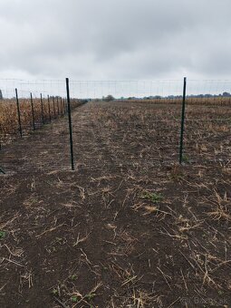 Predaj pozemku v Hurbanove pri hlavnej ceste - 3