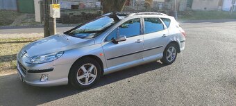 Peugeot 407sw - 3