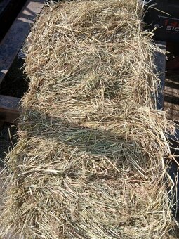 Predám malé hranaté baliký sena. - 3
