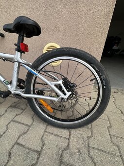 AMULET 20 YOUNGSTER - 3