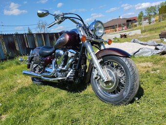 Yamaha XV 1600 Wildstar - 3
