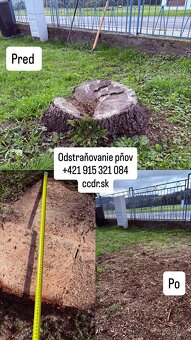 Profesionálne frézovanie a likvidácia pňov – rýchlo, bezpečn - 3